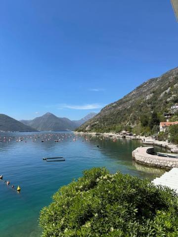 Aquazzura Apartment Kotor Exterior photo